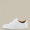 Sneaker Flat Tennis By Ludwig Reiter In , Unisex